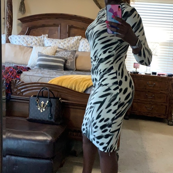 Cache Dress - Picture 3 of 6